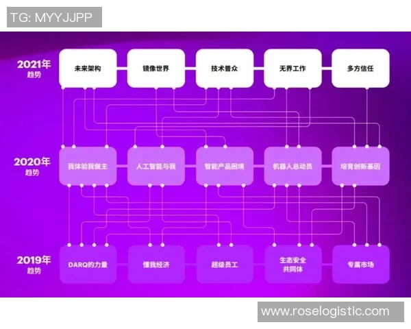 上海排球队意识对比深度解析与发展趋势探讨