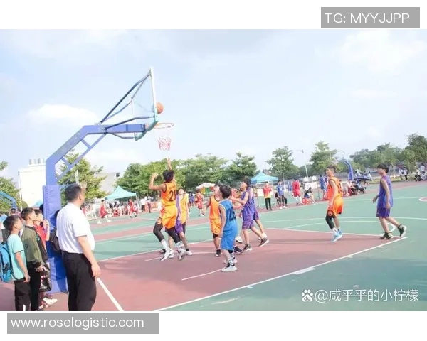 广州篮球队的拼搏之路挑战赛背后的故事与荣耀