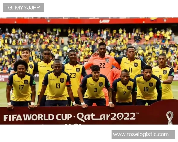 成都羽毛球队以96分领跑世界杯积分榜展现强大实力和团队合作精神