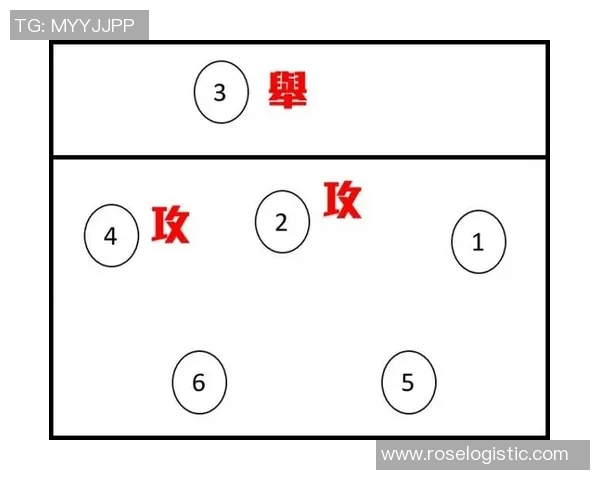 成都排球队的控制打法深度解析与战术应用探讨
