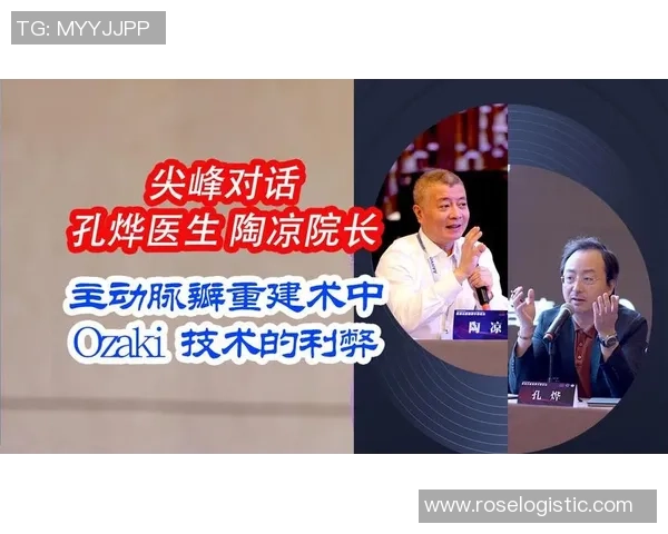 杭州排球队的节奏解析与排球热点的深度探讨