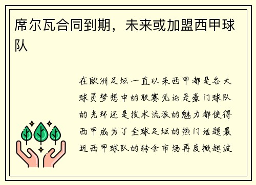 席尔瓦合同到期，未来或加盟西甲球队