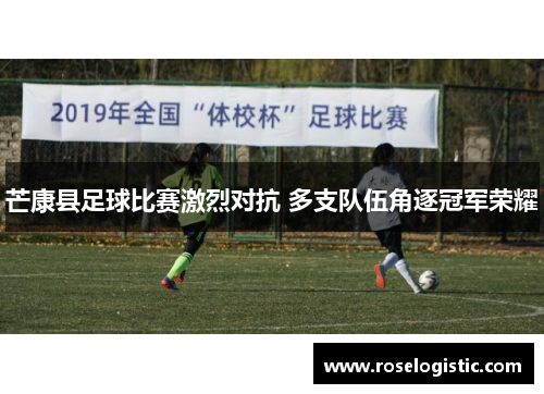 芒康县足球比赛激烈对抗 多支队伍角逐冠军荣耀